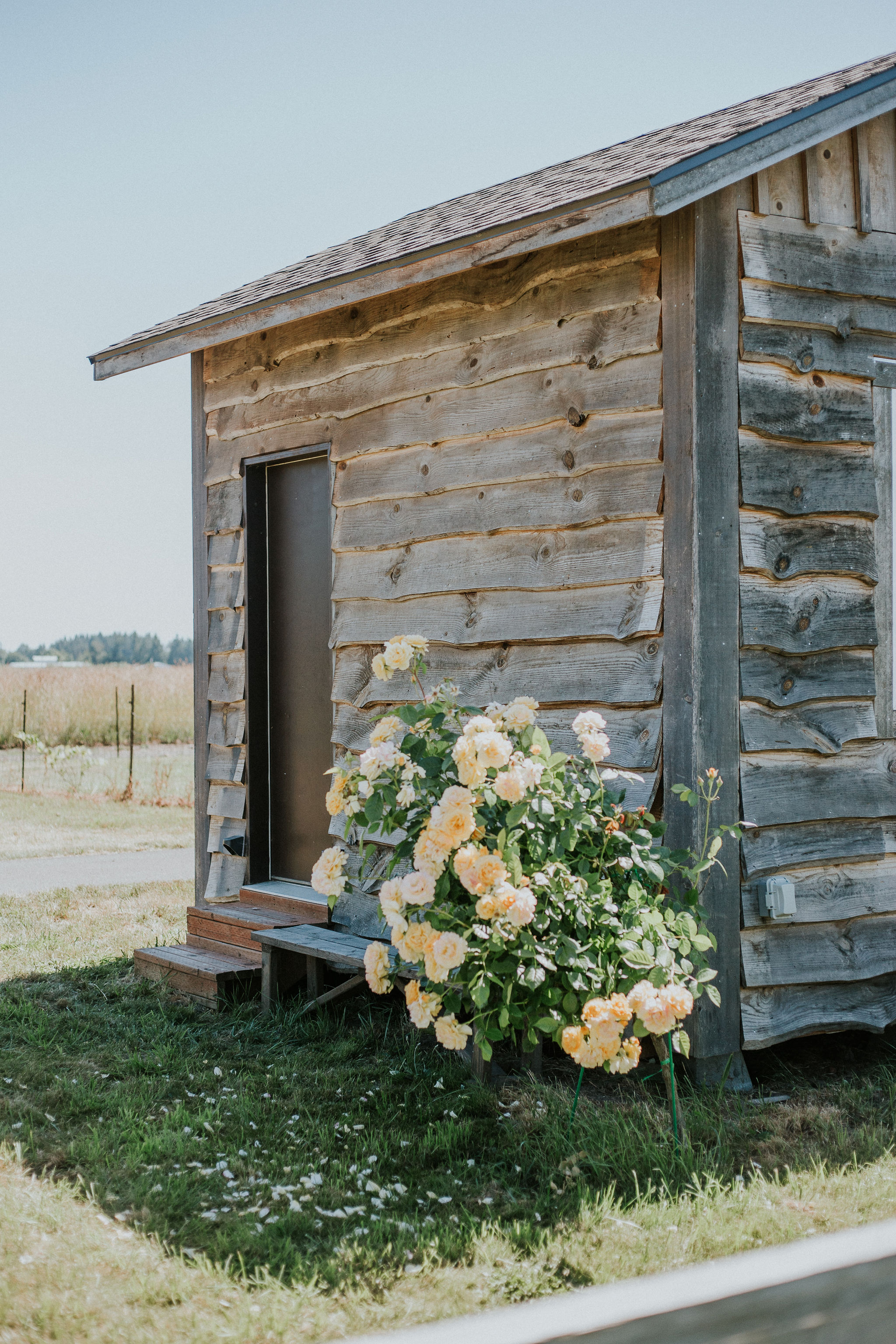 An Oregon wedding ceremony under open sky at Creekside Farm